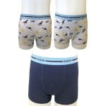 IDER 2-PACK ΑΓΟΡΙΣΤΙΚΟ BOXER ΒΑΜΒΑΚΕΡΟ ΜΕ ΕΞΩΤΕΡΙΚΟ ΛΑΣΤΙΧΟ ΚΑΙ ΣΧΕΔΙΟ ΔΕΙΝΟΣΑΥΡΟΥΣ - ΜΠΛΕ ΓΚΡΙ