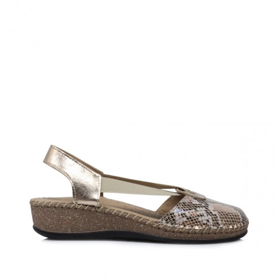 OVVIO ΑΝΑΤΟΜΙΚΕΣ ΠΛΑΤΦΟΡΜΕΣ 23 ANACONDA